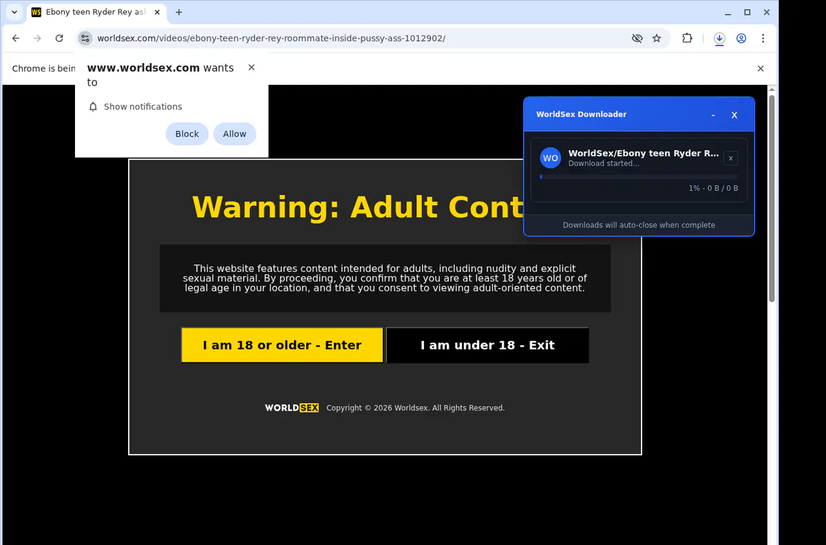 Worldsex Video Downloader browser extension screenshot 2