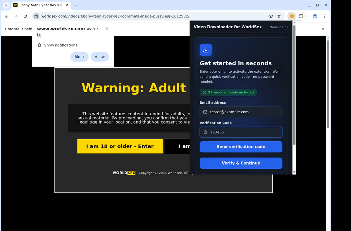 Worldsex Video Downloader browser extension screenshot 4