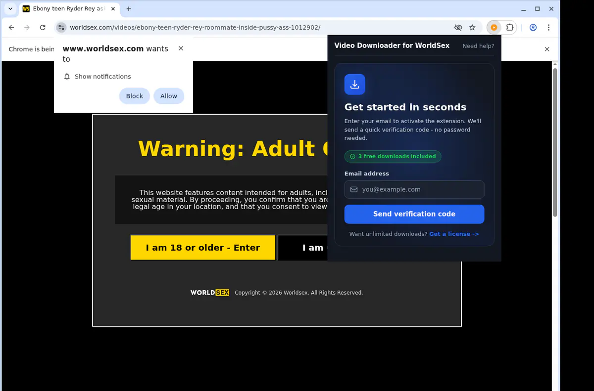 Worldsex Video Downloader browser extension screenshot 5